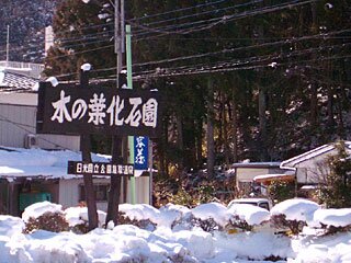 木の葉化石園