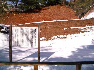 木の葉化石園