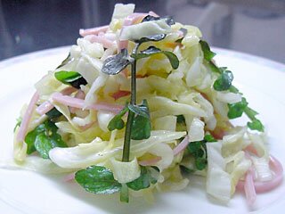 春キャベツのサラダ 