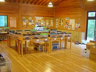 塩原のクワガタ・カブト展