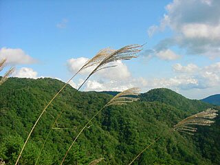 塩那スカイラインjpg